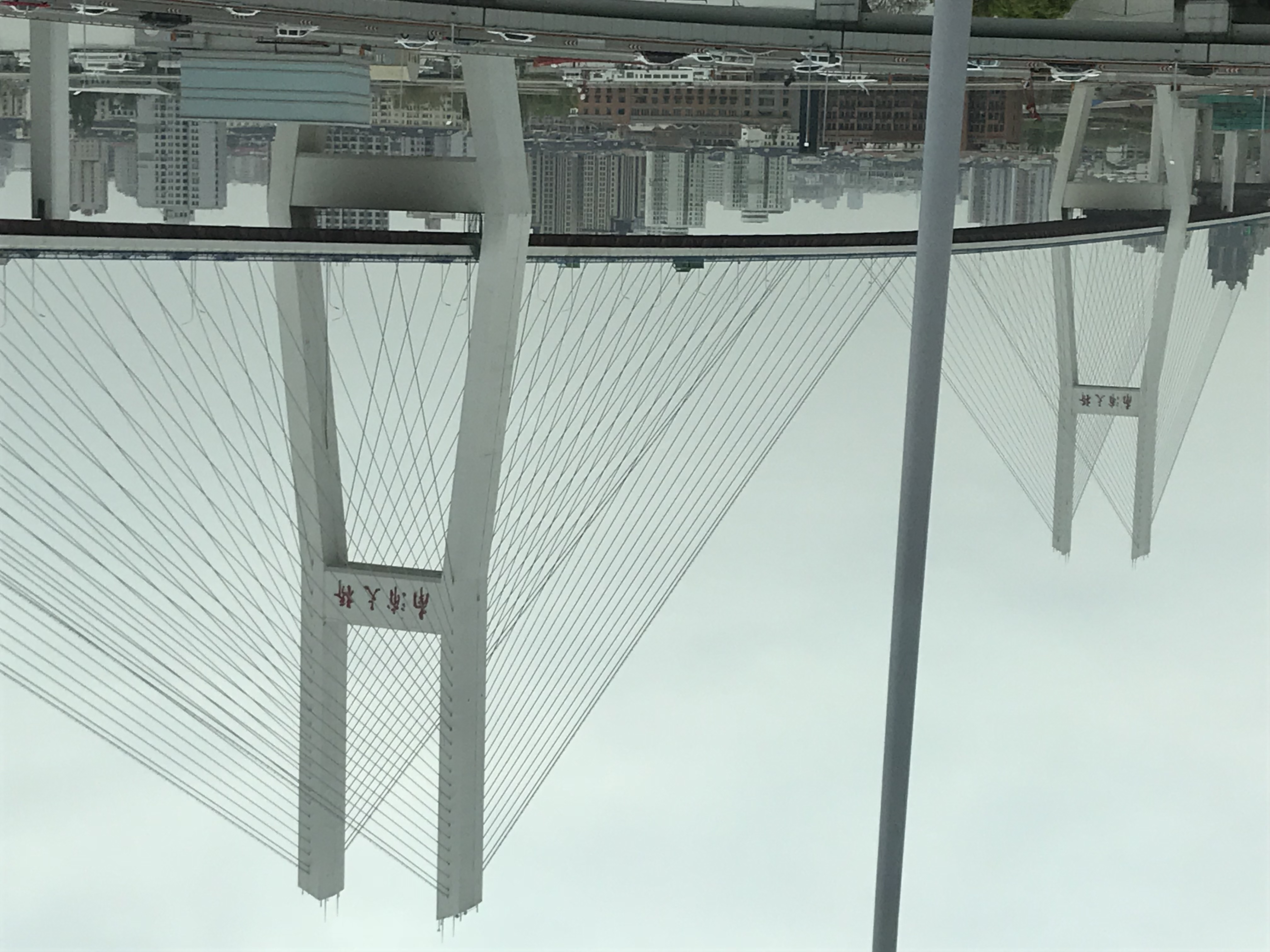 ./2018/03 - Viking China/22 - Shanghai Day 1/IMG_9730.JPG